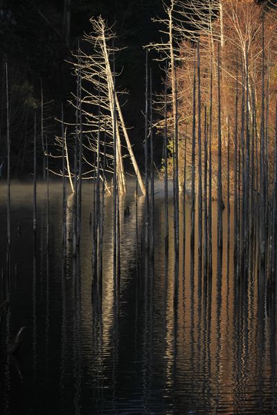 11月11日②jpg.jpg 11月11日②jpg.jpg