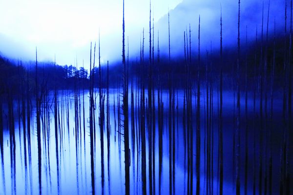 11月11日④jpg.jpg 11月11日④jpg.jpg