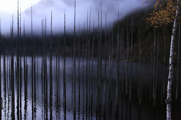 11月11日⑤pg.jpg 11月11日⑤pg.jpg
