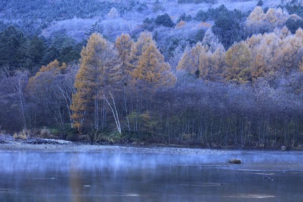11月11日⑦pg.jpg 11月11日⑦pg.jpg