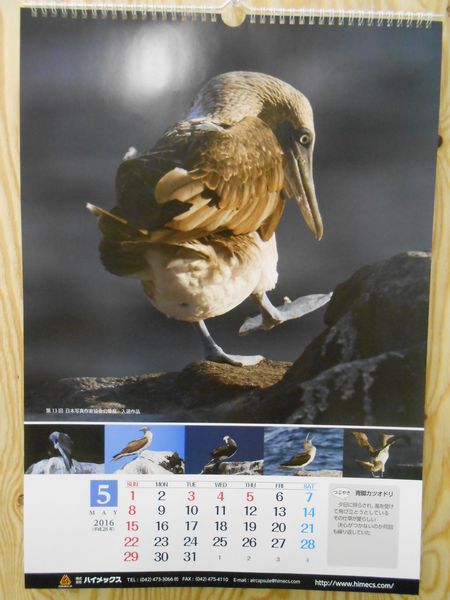 １１月２５日②.JPG