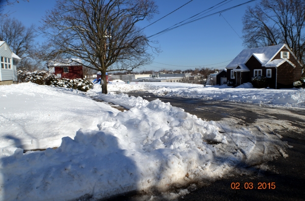 ２０１５年１月の雪③.jpg