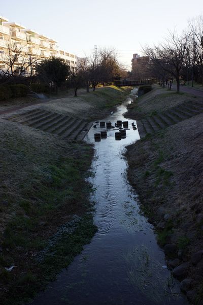 1-しんやま親水広場 170112.JPG