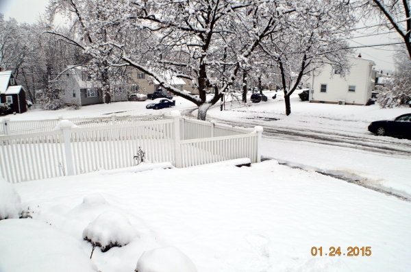 2015年１月の雪　②.jpg