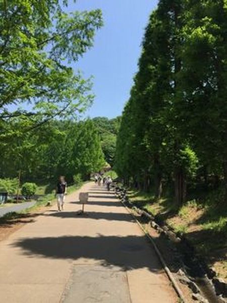 2015.5.13 k②.jpg