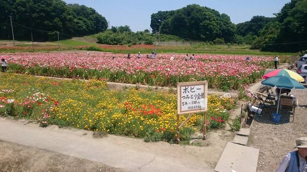 2015.5.27①.JPG