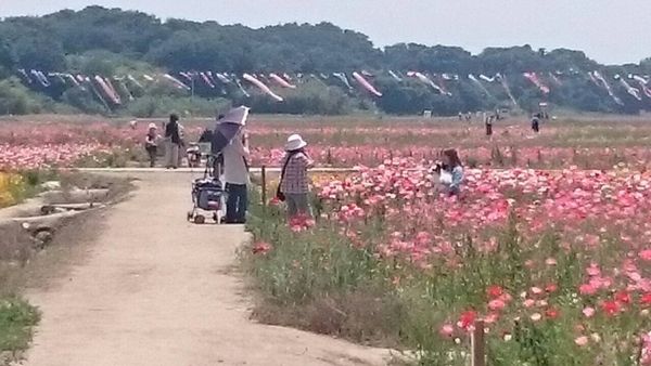 2015.5.27②.JPG