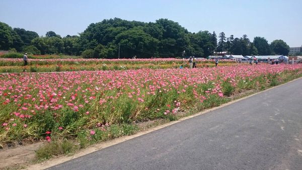 2015.5.27③.JPG