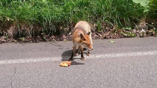 2016.06.29⑥.JPG
