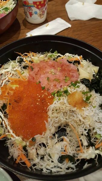 2016.12.21しらす丼.jpg