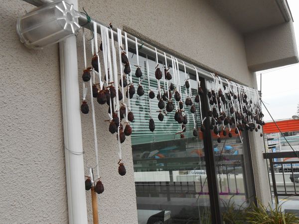 2016.2.24②.JPG