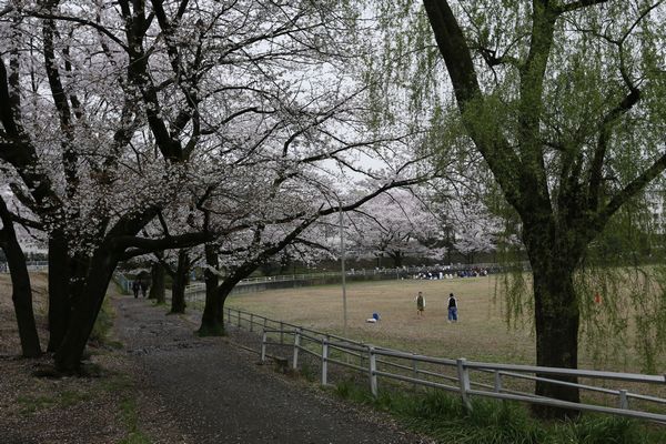 2016.4.13⑦.JPG