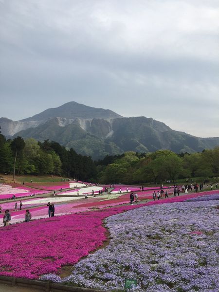 2016.4.27②.JPG