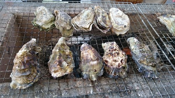 DSC_0025-①.JPG