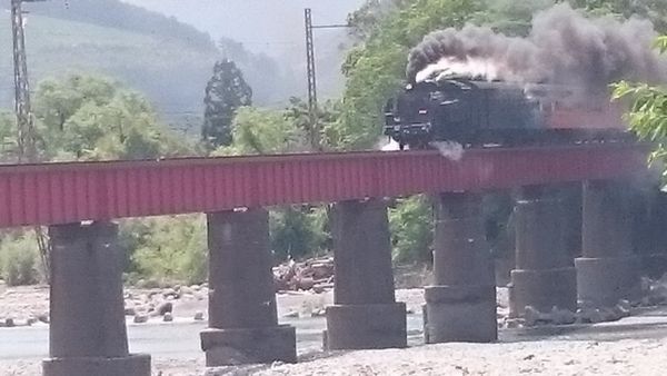 DSC_0156(大井川鉄道川根温泉鉄橋にて).JPG