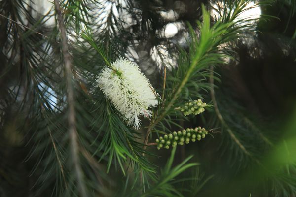 IMG_6910.JPG