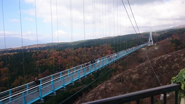 三島Ｓｋｙ　Ｗａｌｋ　(^_^)/