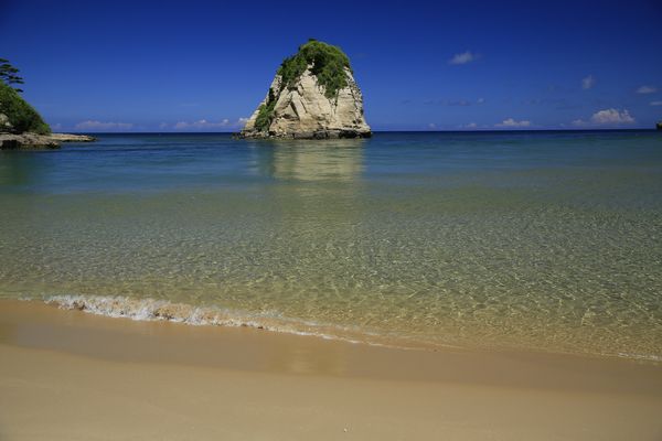 ８月のワンショット【西表島】＆夏季休暇のお知らせ