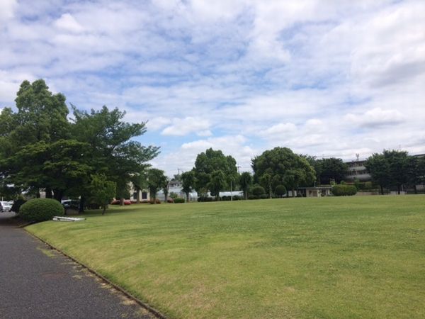 梅雨の晴れ間