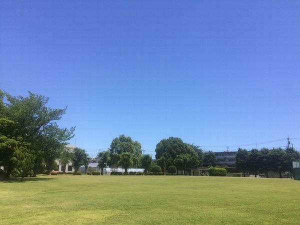 ☀梅雨入り前の晴れ間☀