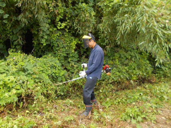 安中工場の草刈り