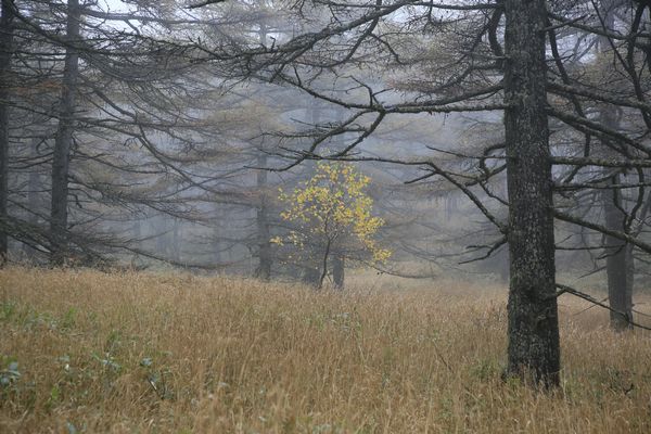 年末年始のお休み