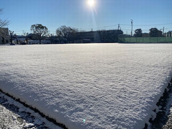 突然の雪