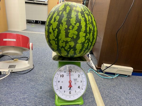 ハイメックスブログ