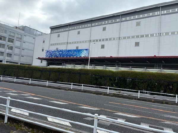 HIMECS LADY  debut
